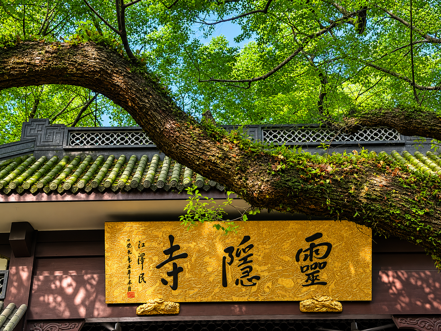 杭州