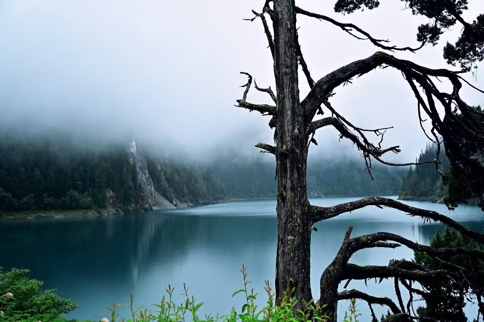 阿坝州