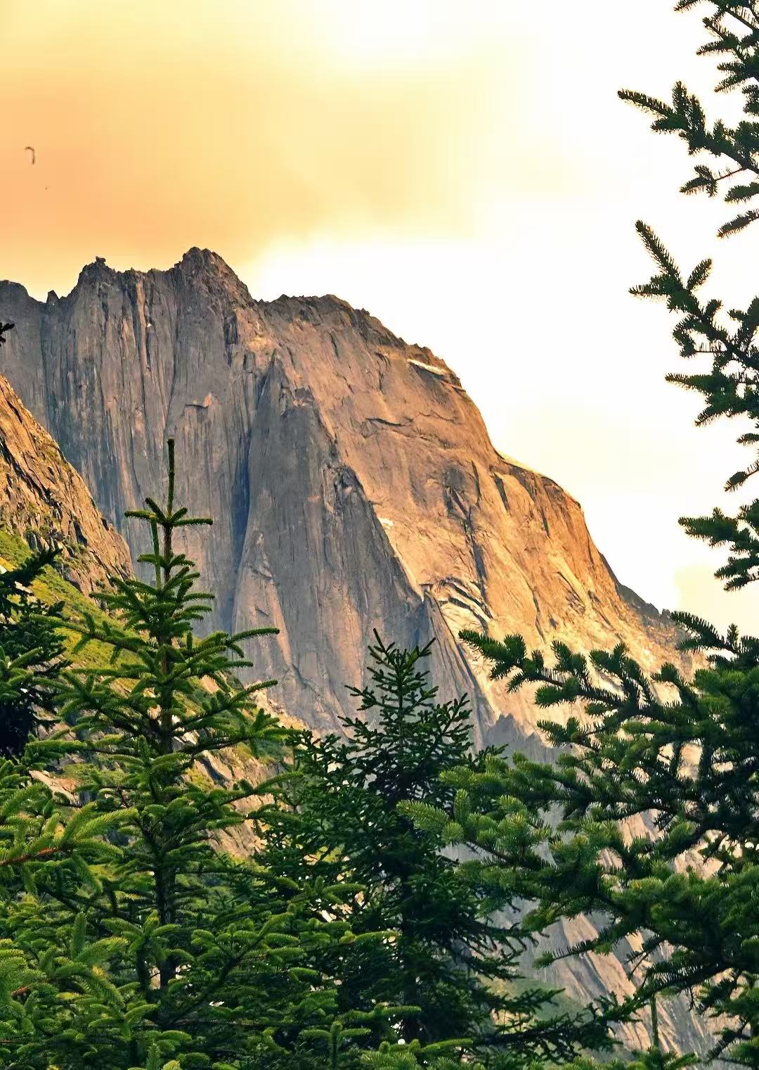 阿坝州